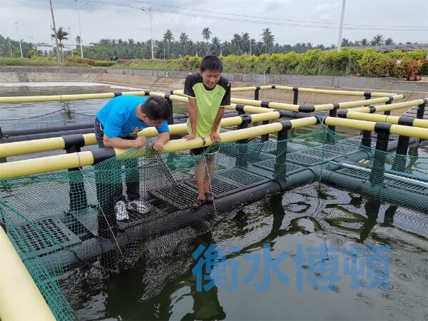 兩個人在水產養殖基地網箱邊檢查網衣.